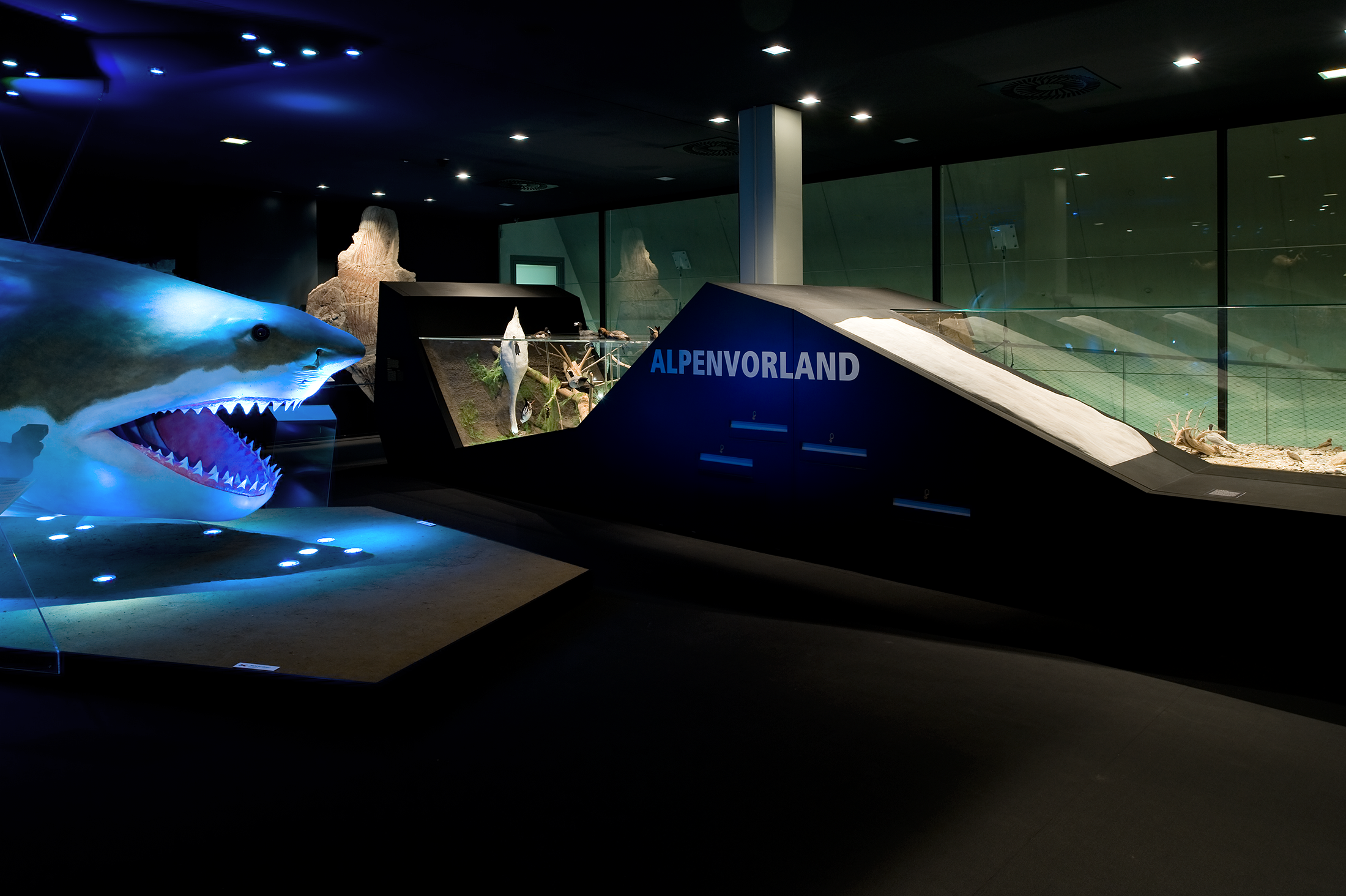 Austellungsdesign Imagebild Schlossmuseum Natur